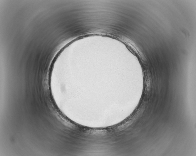 X0000111250884200908131205