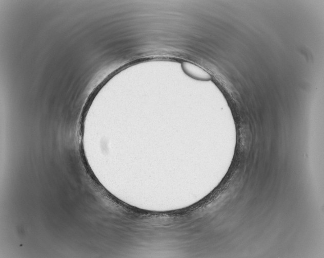 X0000111250885200908131205