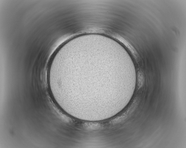 X0000111250886200908131205