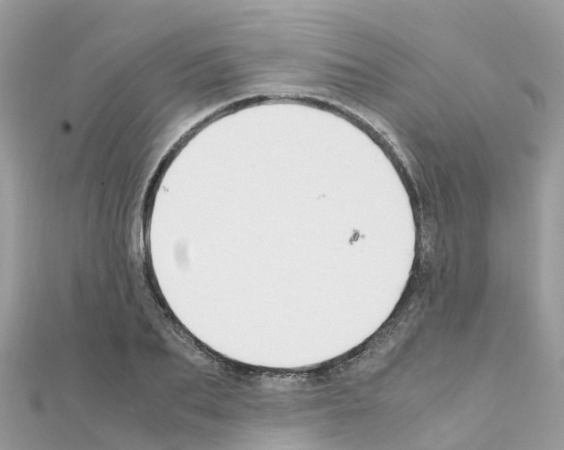 X0000111250887200908131205