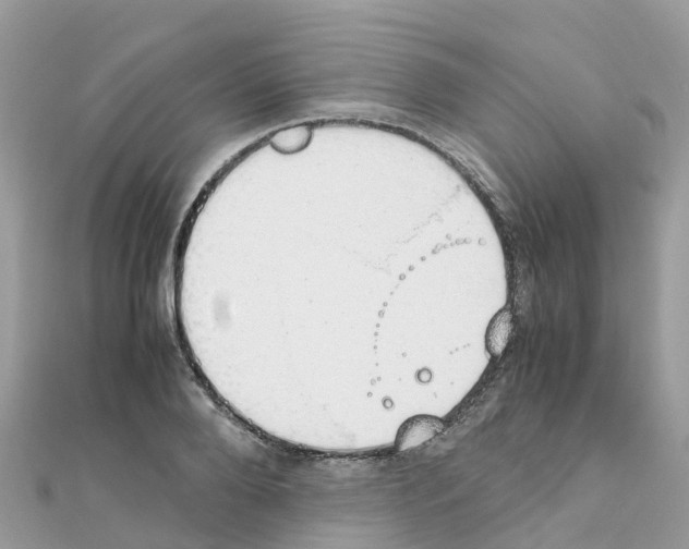 X0000111250888200908131205