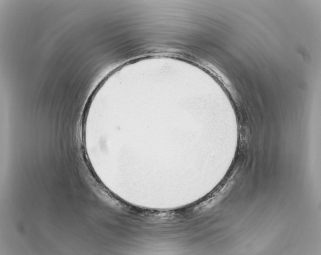 X0000111250891200908131205