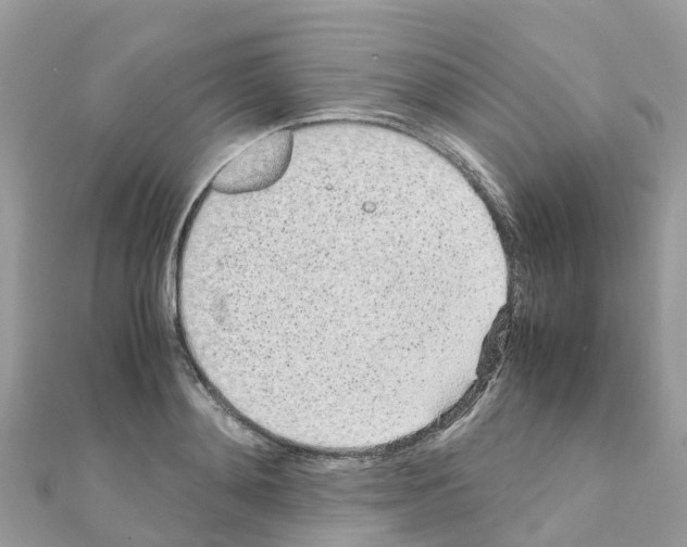 X0000111250892200908131205