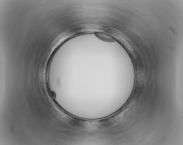 X0000111250893200908131205