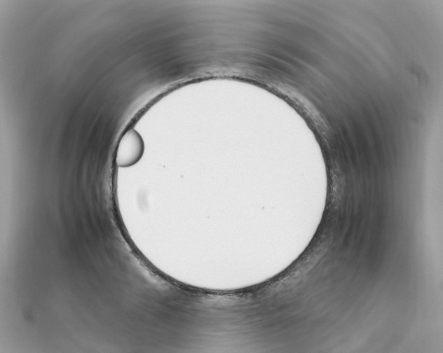 X0000111250894200908131205