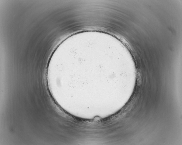 X0000111250895200908131205