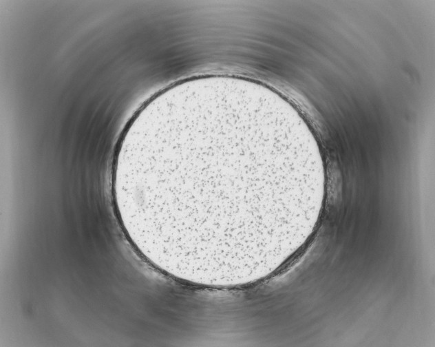 X0000111250896200908131205