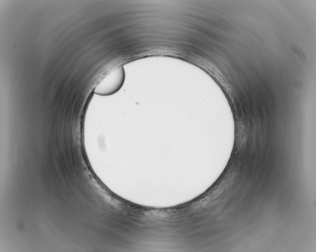 X0000111250898200908131205