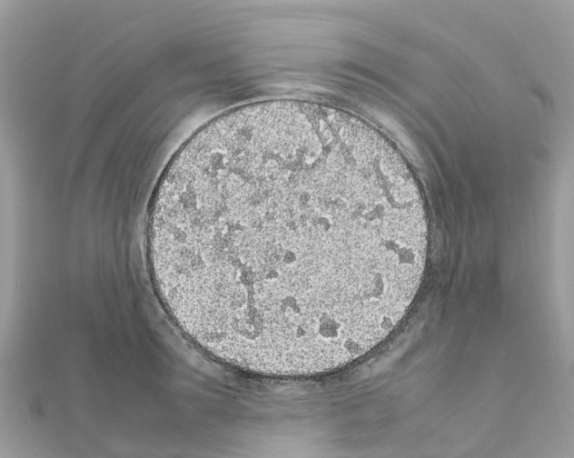 X0000111250899200908131205