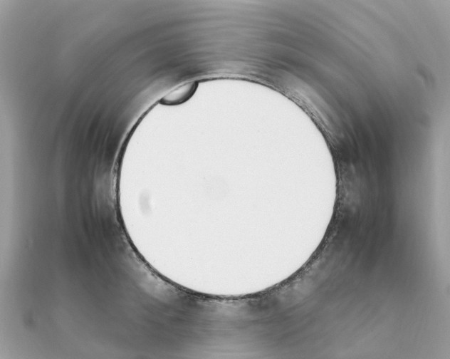 X0000111250900200908131205