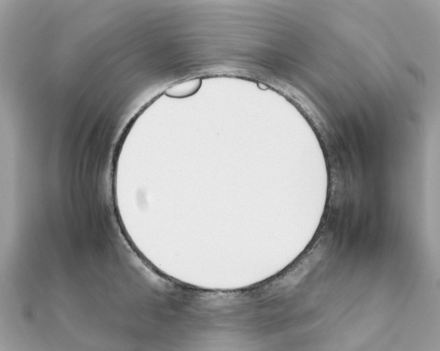 X0000111250902200908131205