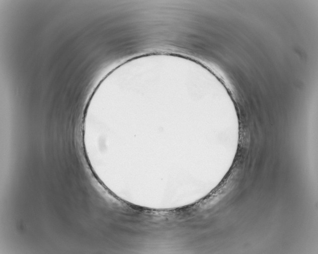 X0000111250903200908131205