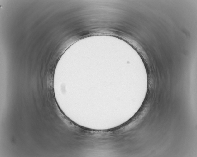 X0000111250905200908131205