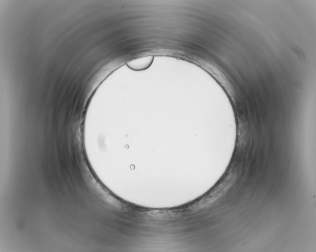 X0000111250906200908131205