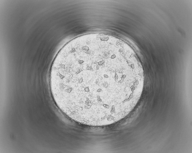 X0000111250907200908131205