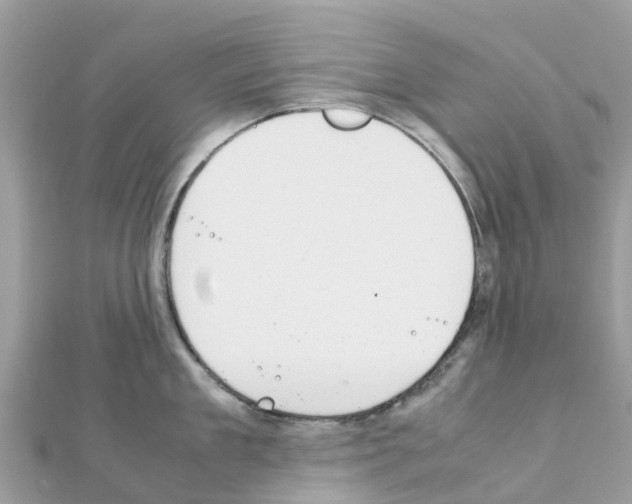 X0000111250909200908131205