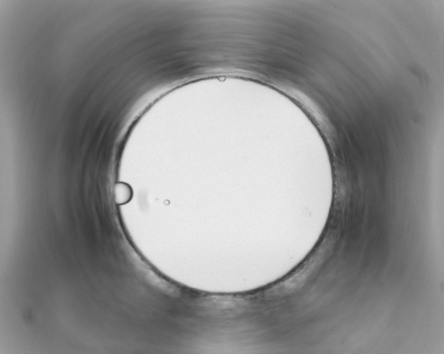 X0000111250910200908131205