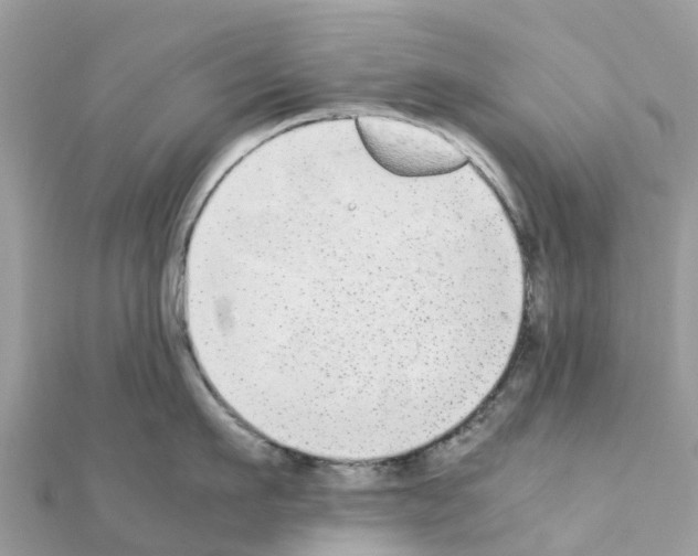 X0000111250911200908131205