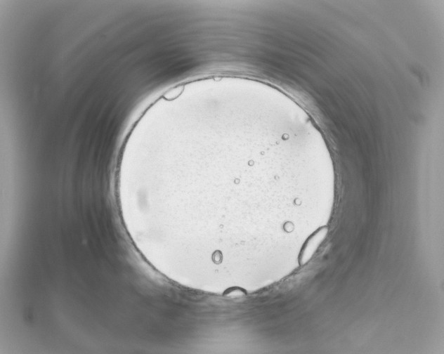 X0000111250912200908131205