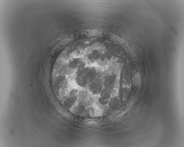 X0000111250913200908131204