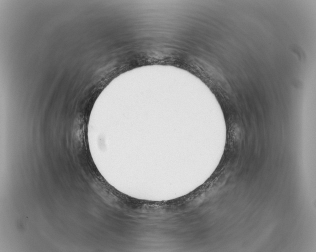 X0000111250914200908131204