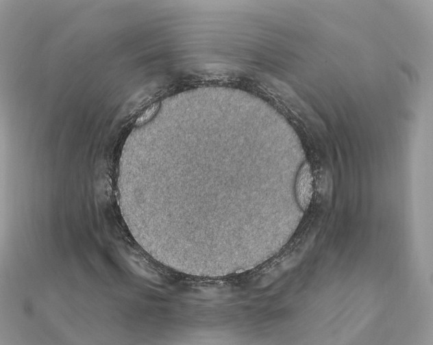 X0000111250916200908131204