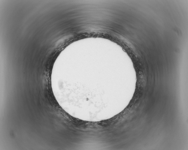 X0000111250918200908131204