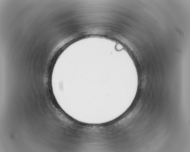 X0000111250922200908131204