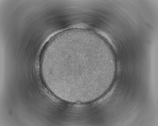 X0000111250923200908131204