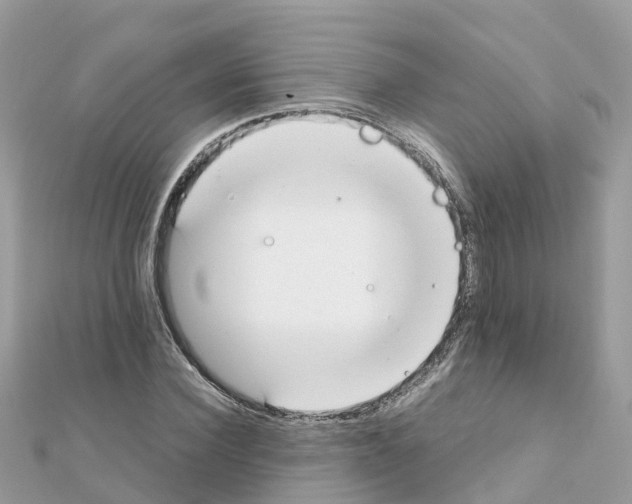 X0000111250924200908131204