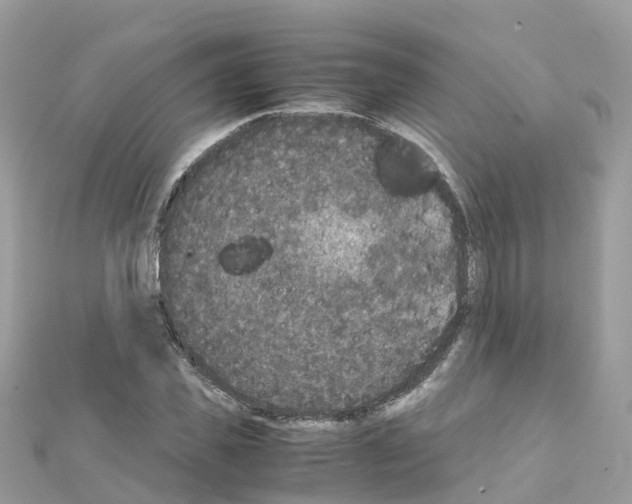 X0000111250925200908131204