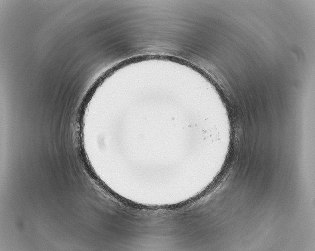 X0000111250926200908131204