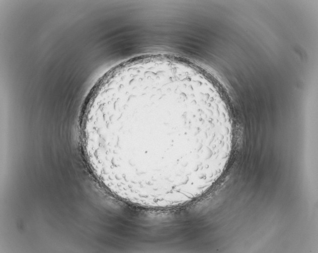 X0000111250927200908131204