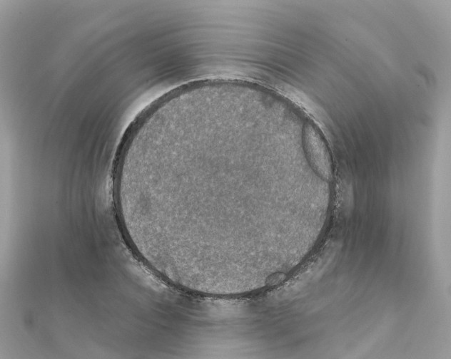 X0000111250928200908131204