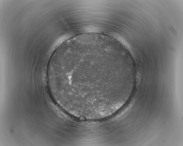 X0000111250930200908131204