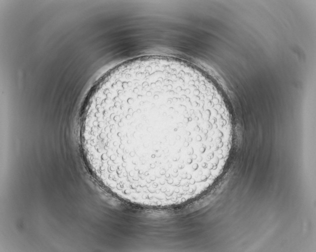 X0000111250931200908131204