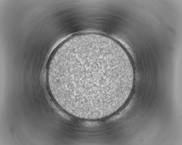 X0000111250933200908131204