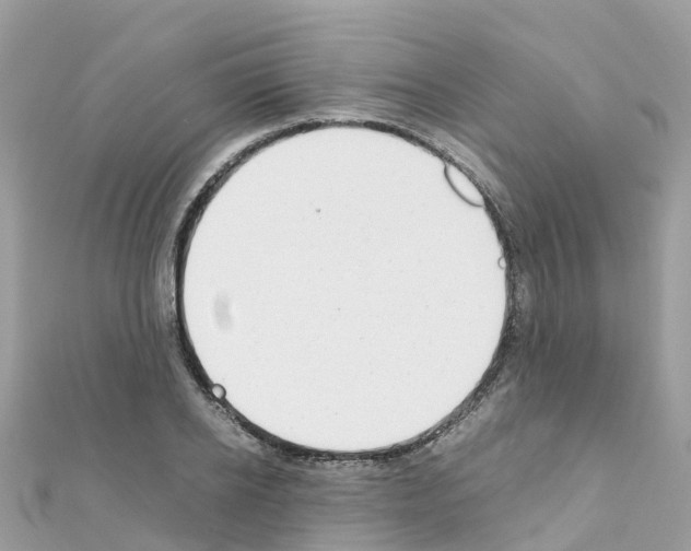 X0000111250934200908131204