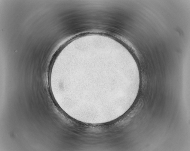 X0000111250935200908131204