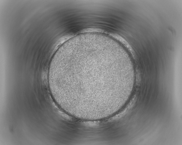 X0000111250937200908131204