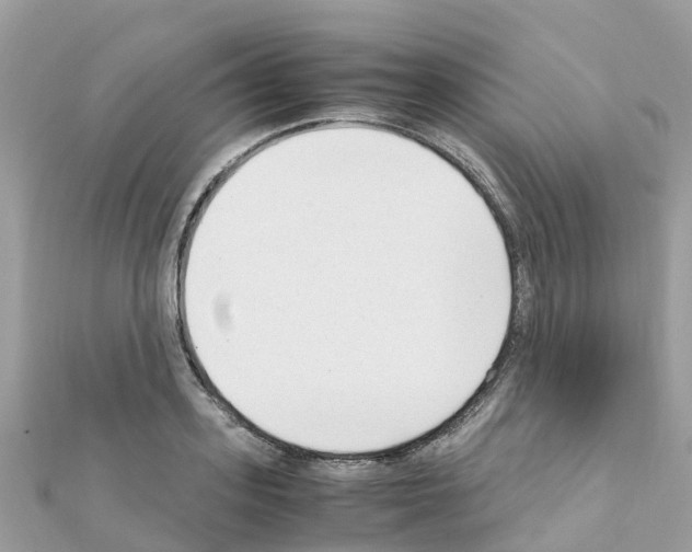 X0000111250939200908131204