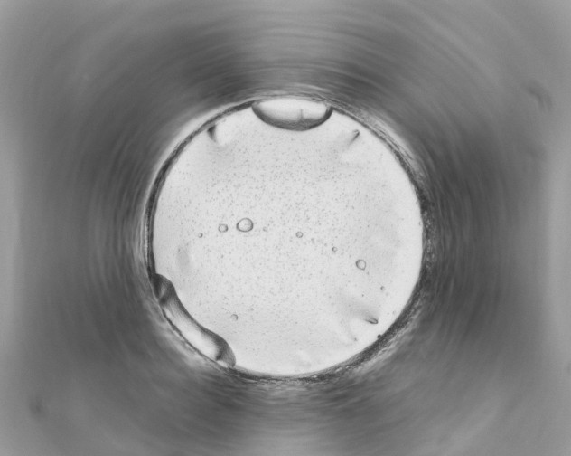 X0000111250940200908131204