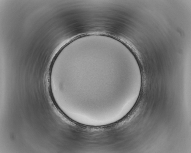 X0000111250941200908131204