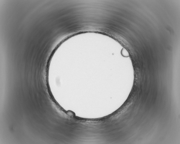 X0000111250942200908131204