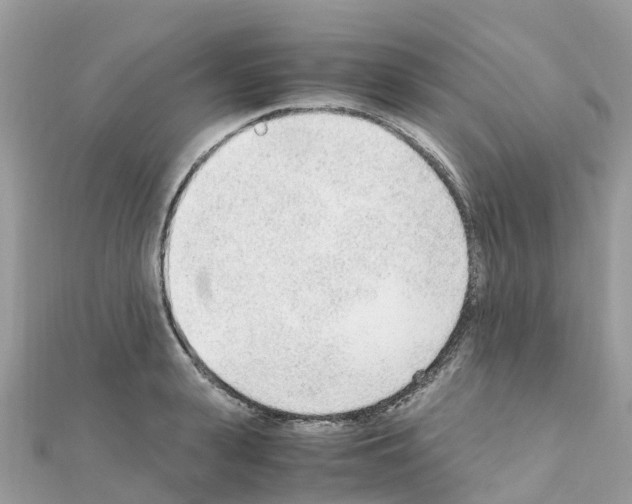 X0000111250943200908131204