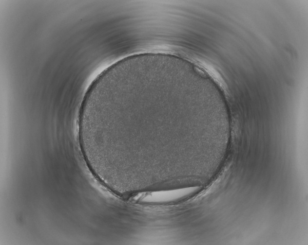 X0000111250944200908131204