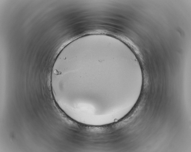 X0000111250945200908131204