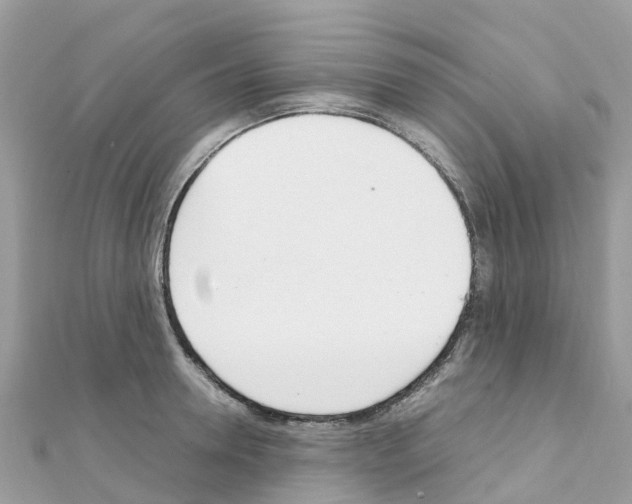 X0000111250946200908131204