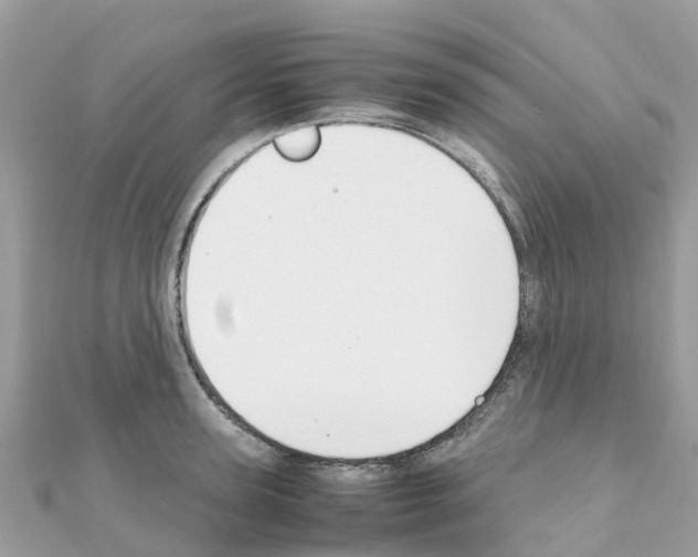 X0000111250947200908131204