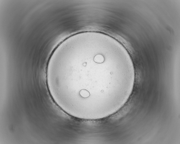 X0000111250950200908131204